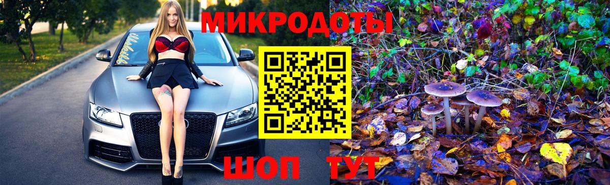 Энгельс  Псилоцибиновые грибы Psilocybe  Псилоцибиновые грибы MAGIC MUSHROOMS  Вход с VPN 